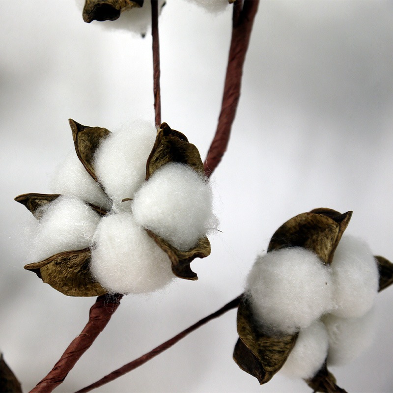 ガーランドコットン130cm