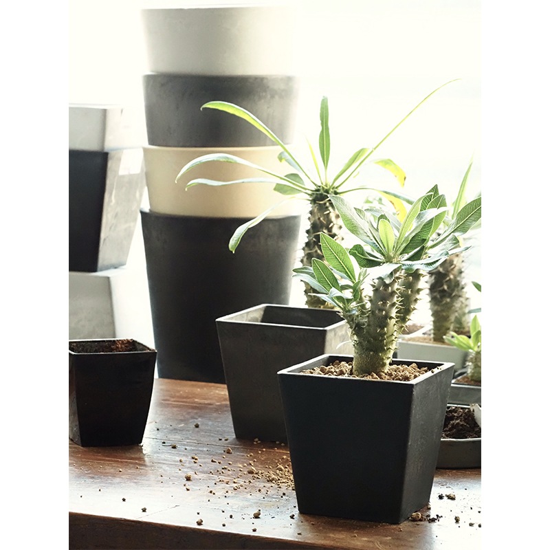 SKスクエアポット 12xH12 ブラック