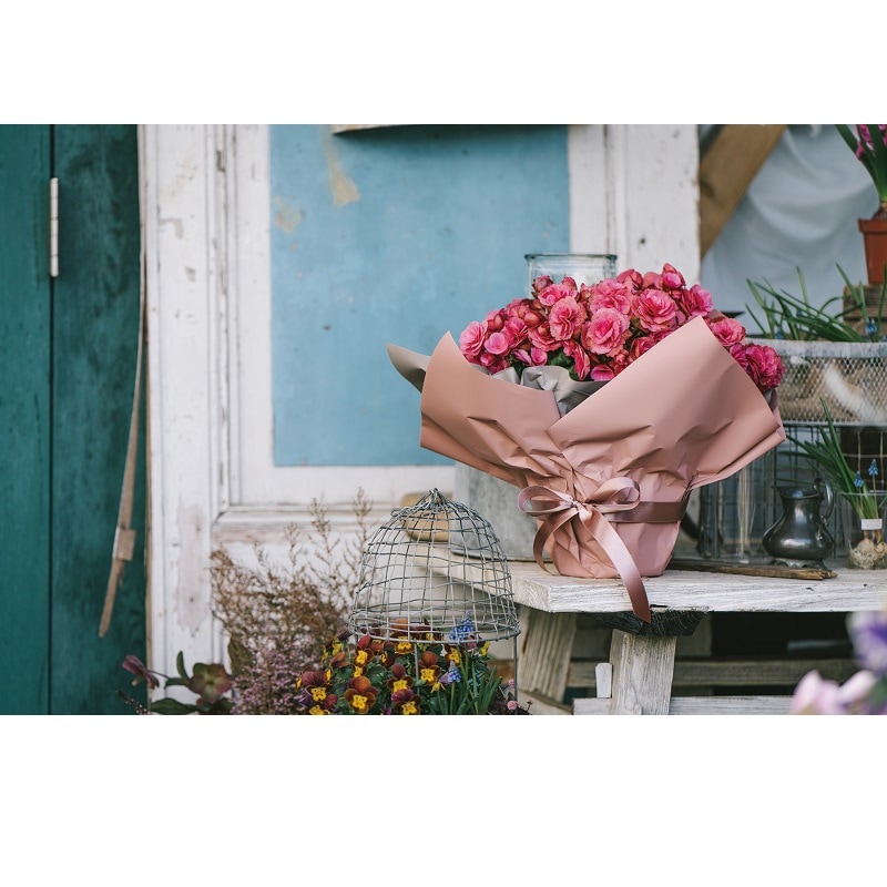 MOIST No.20 ディープオーカー 65㎝×15m