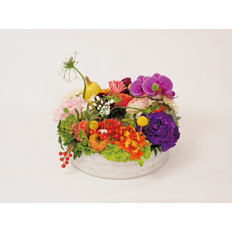 SKリングφ27xH7 ミルキー【入荷予定あり】【2026年1月中旬入荷予定】