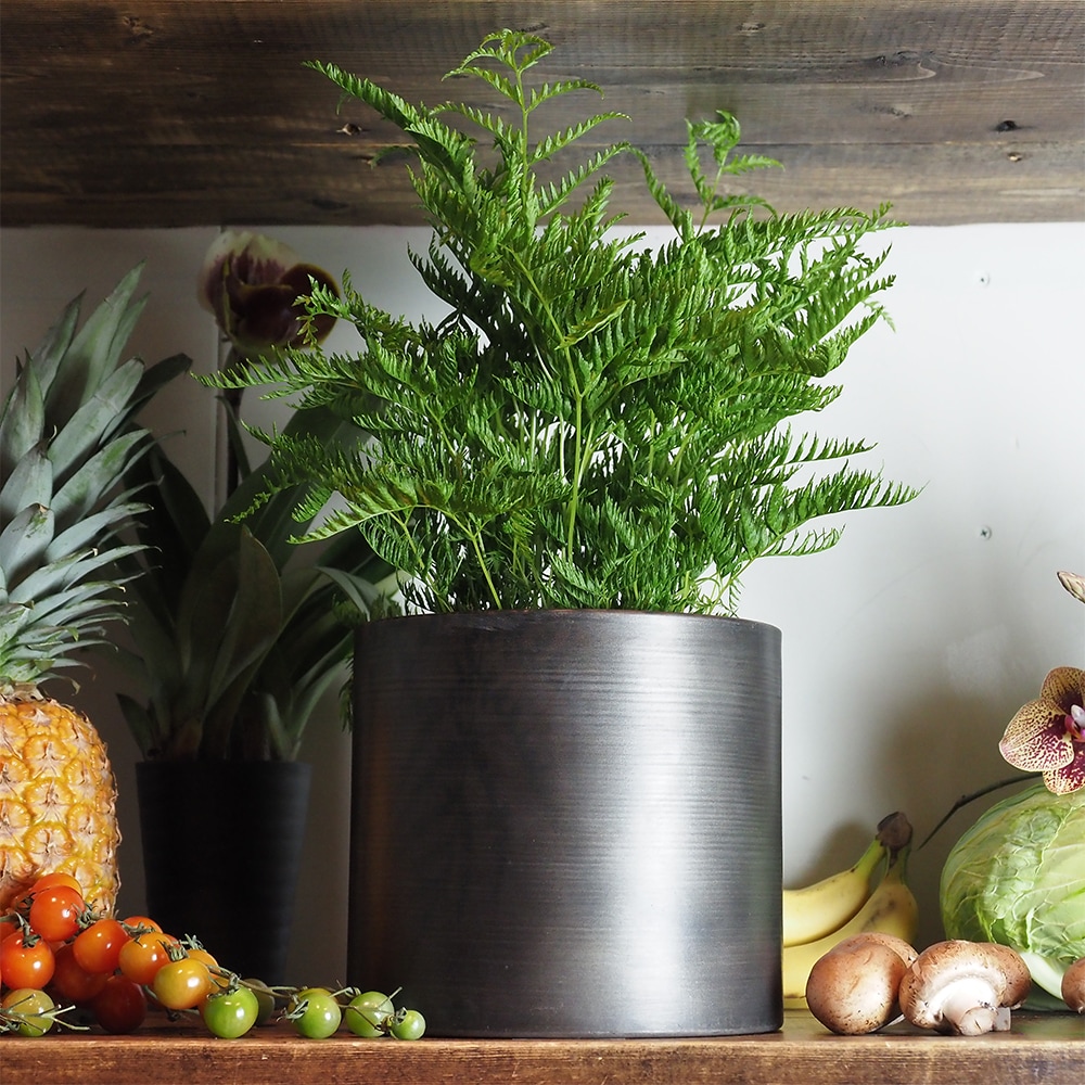 MC円柱ベース ダークブラックH19