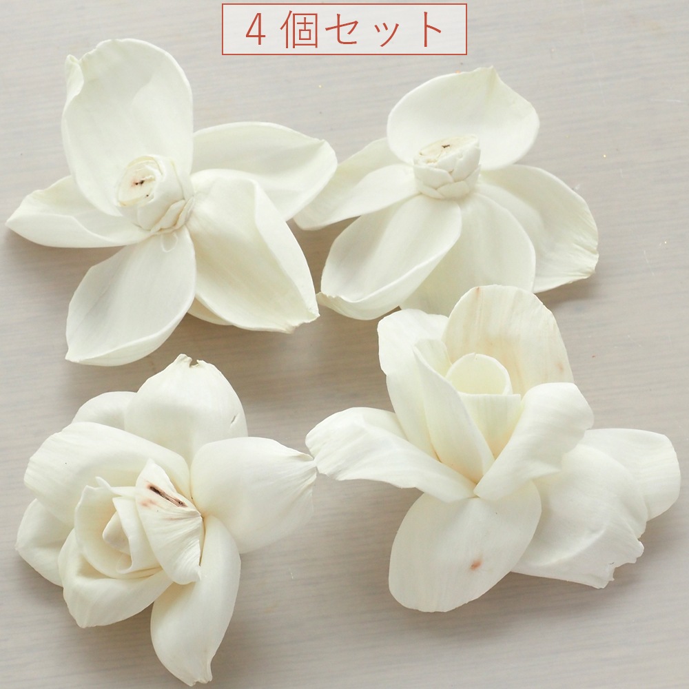 RMソラティーローズ6cm 4個セット