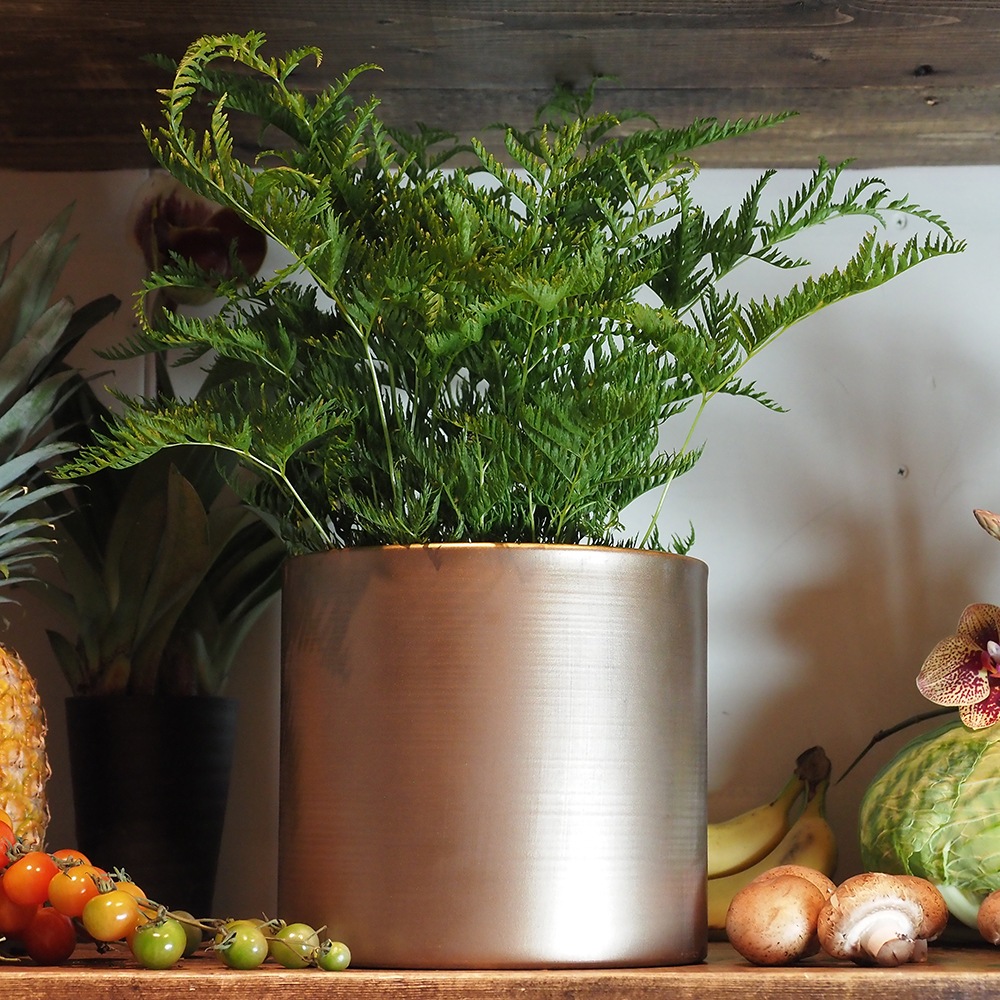 MC円柱ベース アンティークゴールドH19