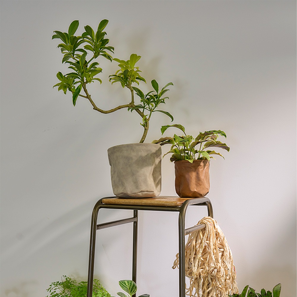 MHレザーポット7号 アッシュグレー