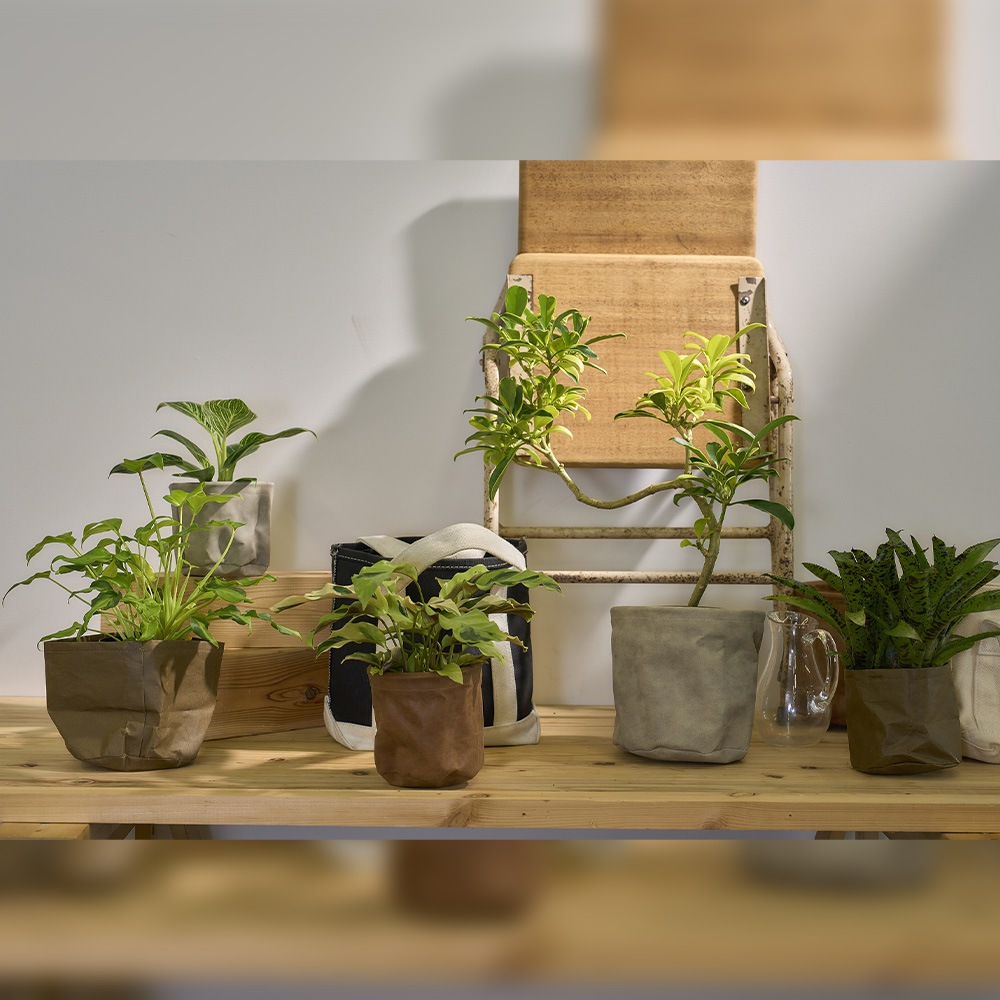 MHレザーポット7号 アッシュグレー