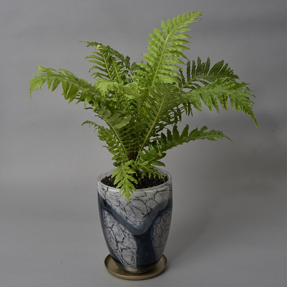 DGガラスリバーポット&ソーサーH18 アイル