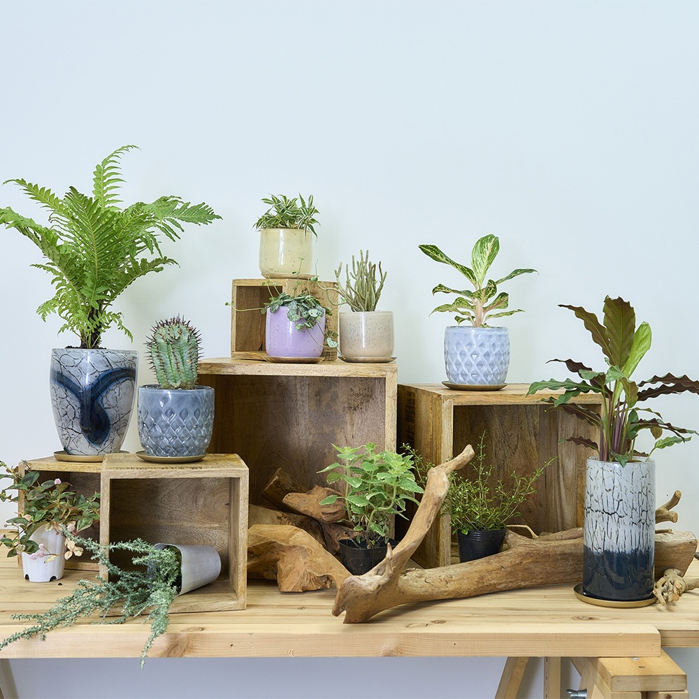 DGガラスリバーポット&ソーサーH18 アイル