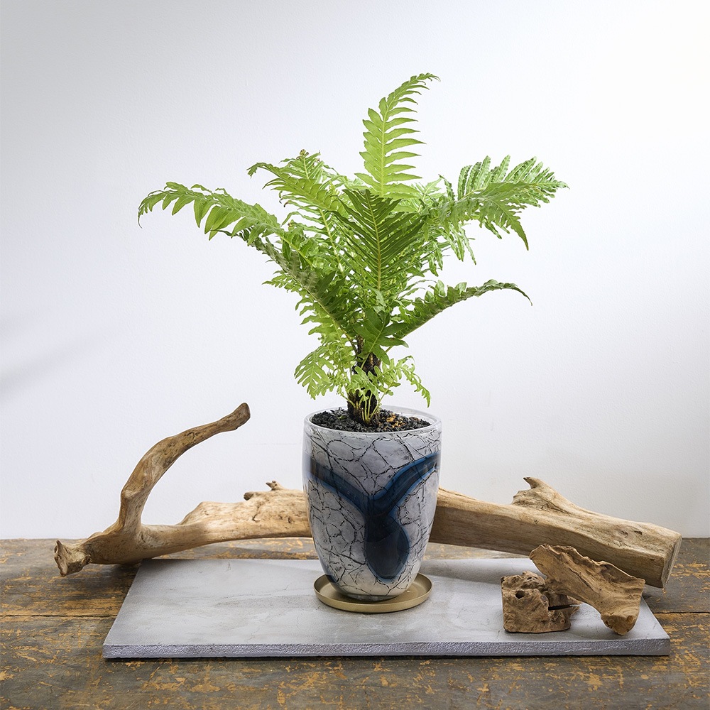 DGガラスリバーポット&ソーサーH18 アイル