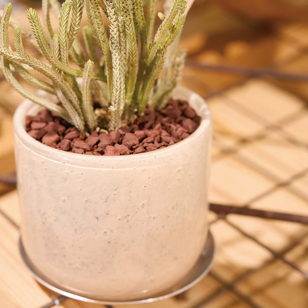 DGガラスアールポット＆ソーサーH9 ピーチ