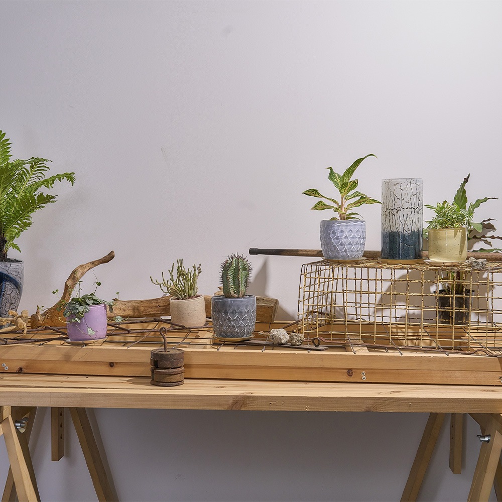 DGガラスアールポット＆ソーサーH9 ピーチ