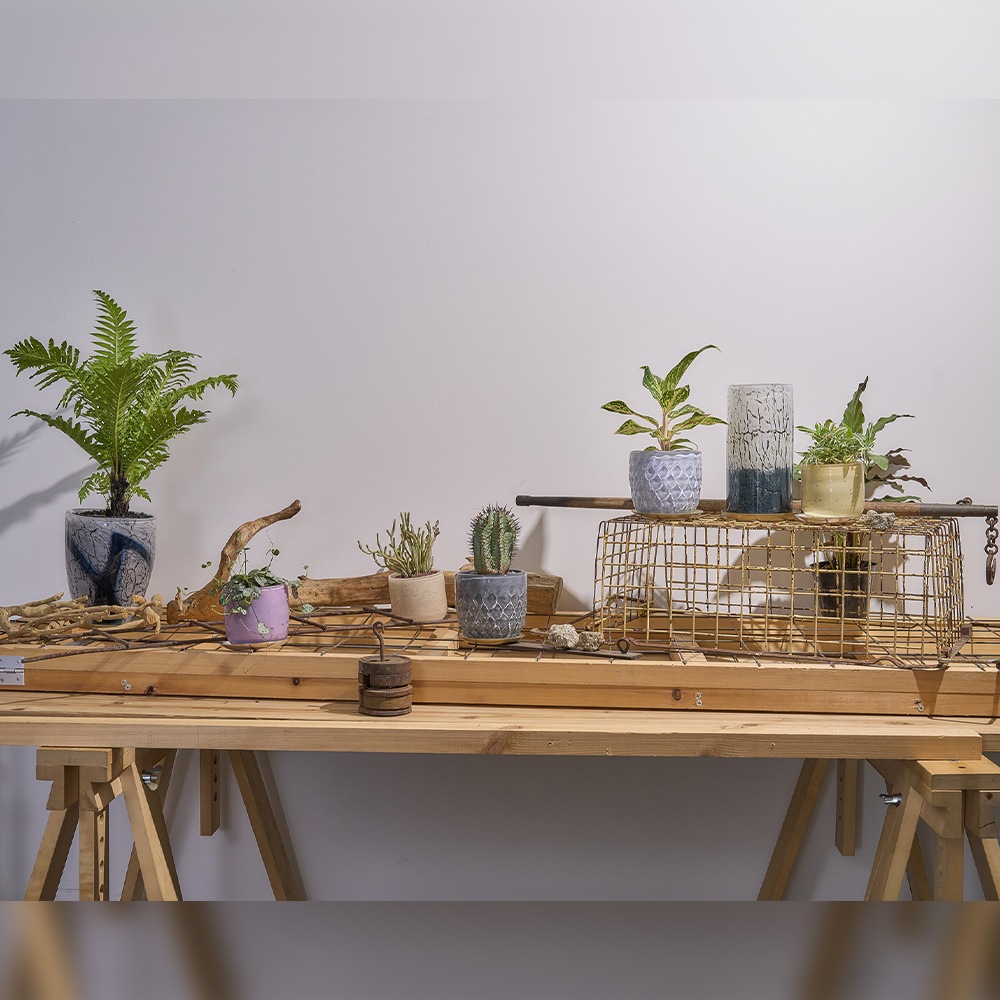 DGガラスアールポット＆ソーサーφ9xH9 ソフトパープル