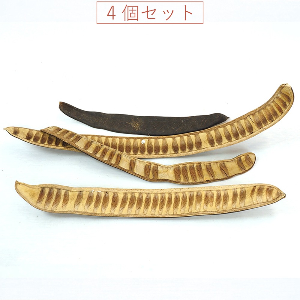 RMステップフルーツ 4個セット