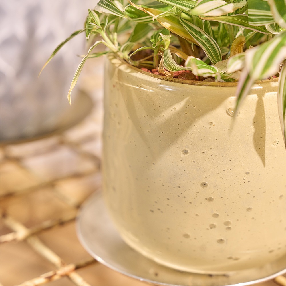 DGガラスアールポット＆ソーサーH9 ソフトイエロー