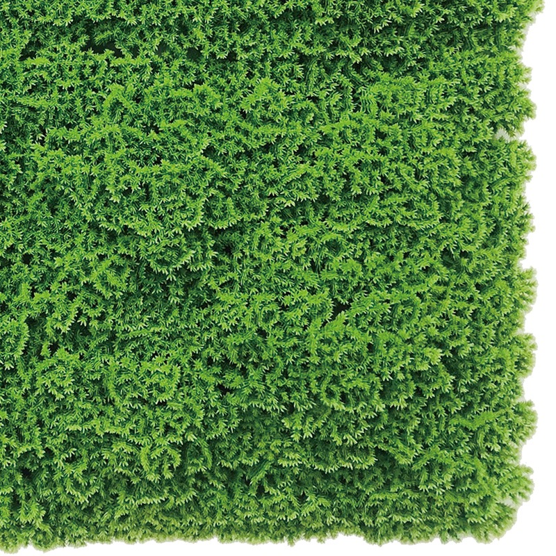 GMシート モスMAX 100×100cm【別途大型ｻｲｽﾞ料金要商品|北海道,九州,四国,沖縄】