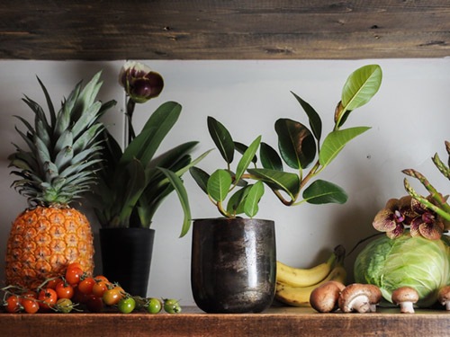 【予約商品】【再入荷】AM3.5ベースブラック H13