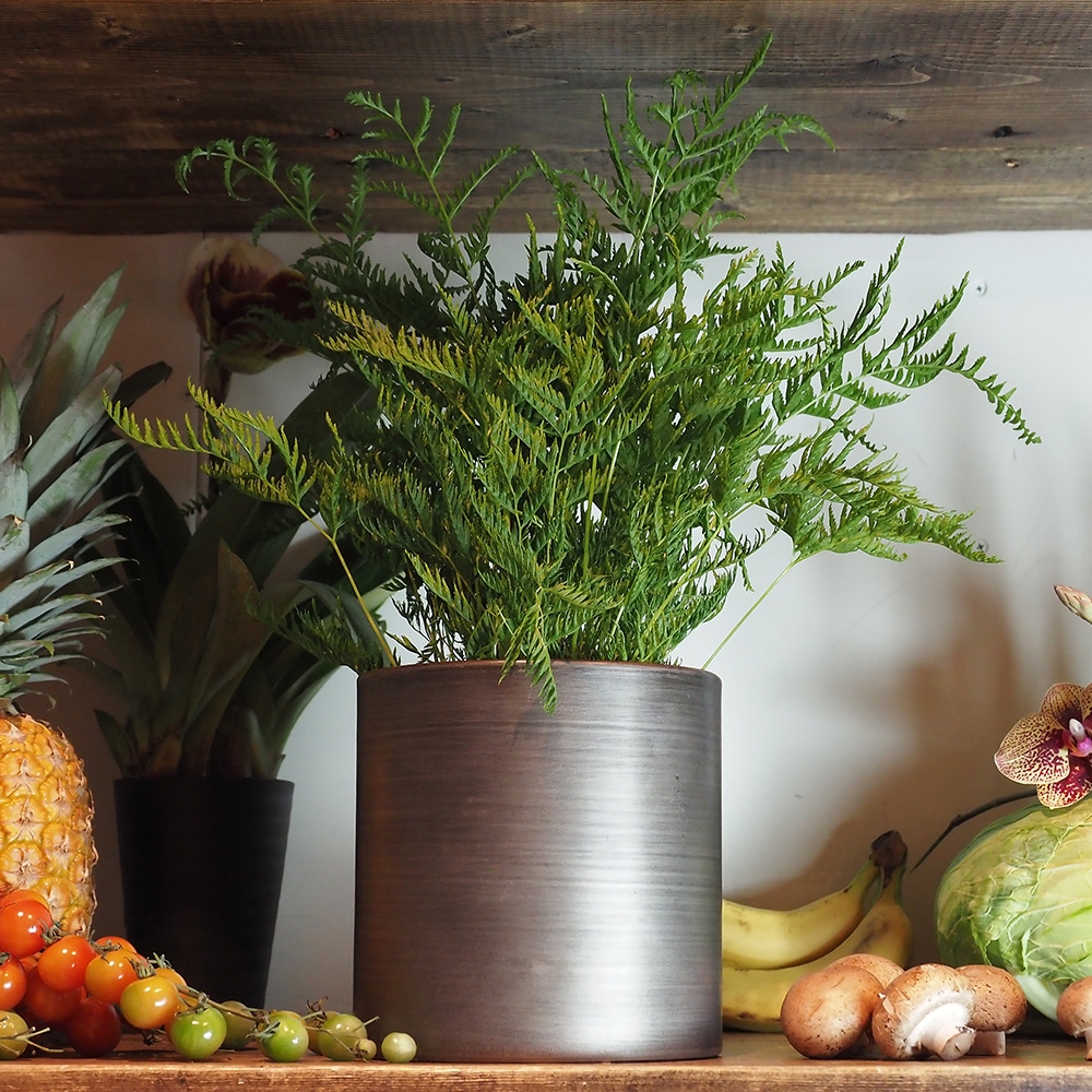 MC円柱ベース ダークブラックH17【入荷予定あり】【2026年7月下旬入荷予定】