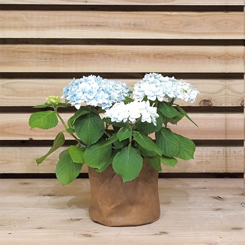 MHレザーポット5号用