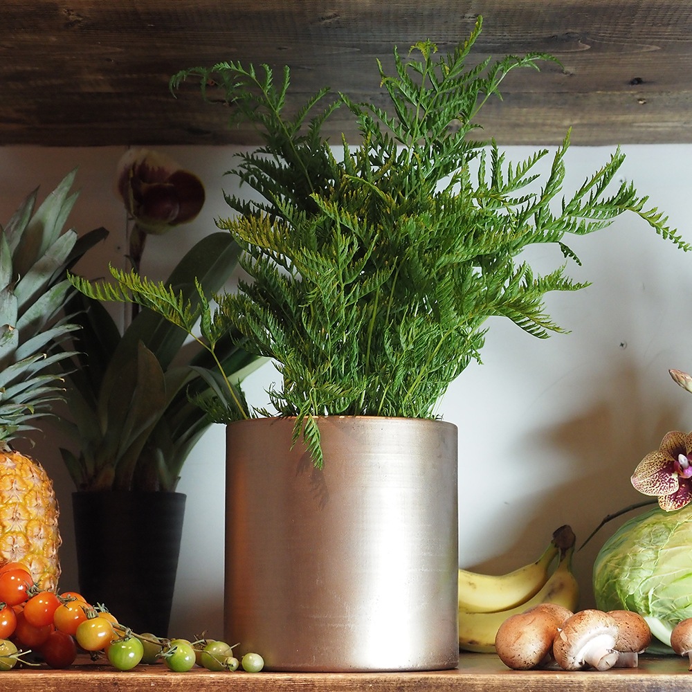 MC円柱ベース アンティークゴールドH17