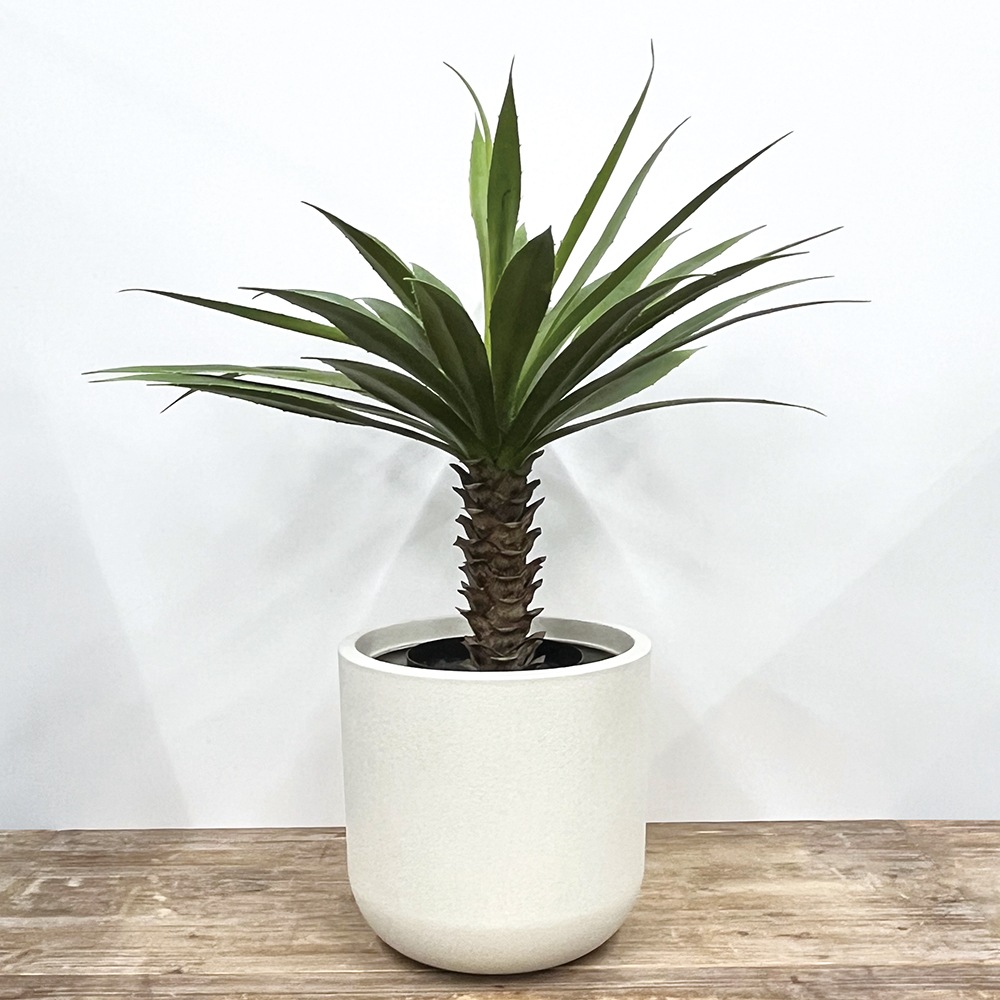 FRアールポットオフホワイトS φ29.5xH28