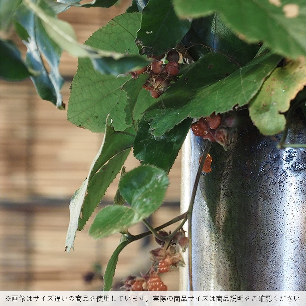 AMシリンダーロング ブラックH100【別途大型ｻｲｽﾞ料金要商品|北海道/九州/四国/沖縄】