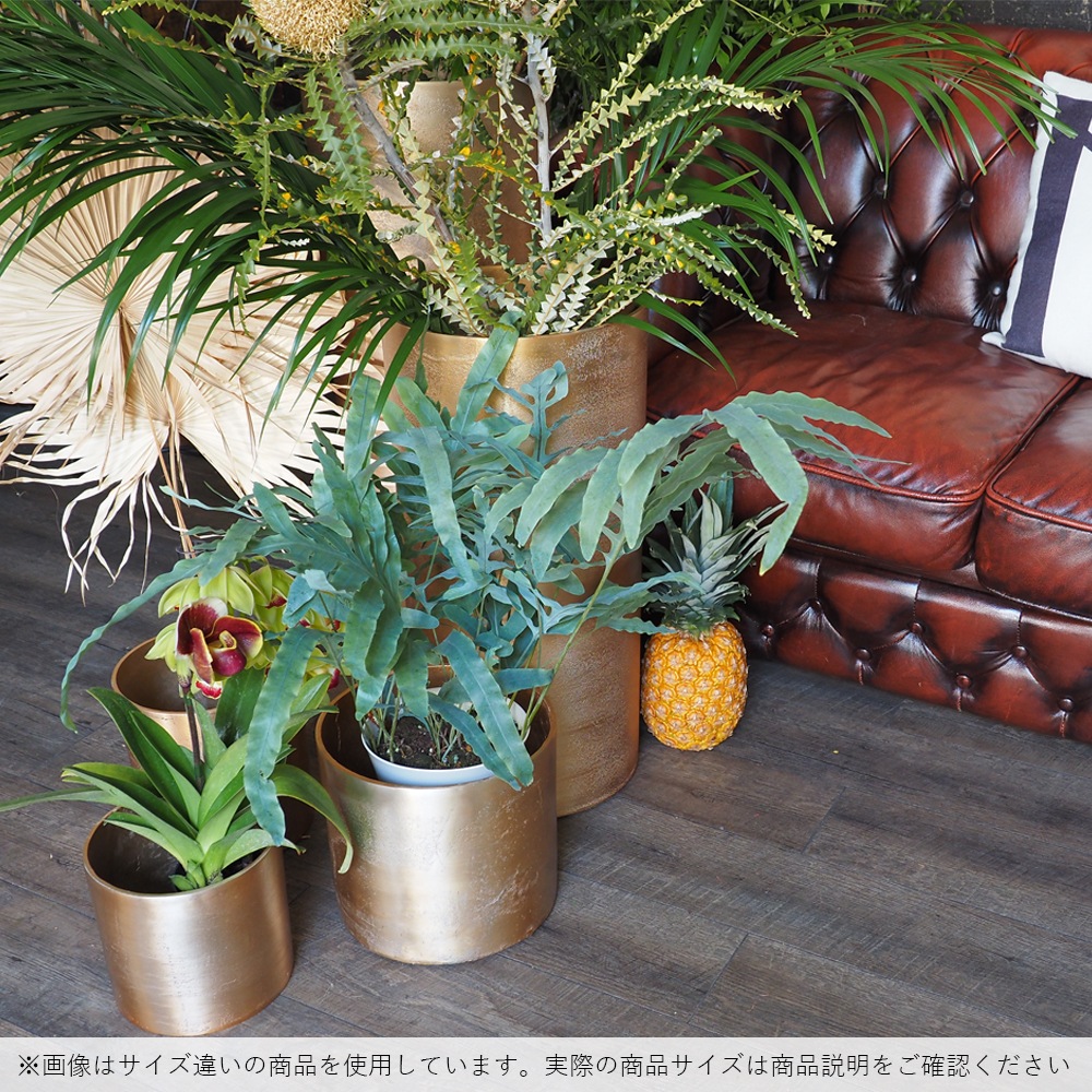 AMシリンダーロング ゴールドH100【別途大型ｻｲｽﾞ料金要商品|北海道/九州/四国/沖縄】【入荷予定あり】【2026年3月下旬入荷予定】