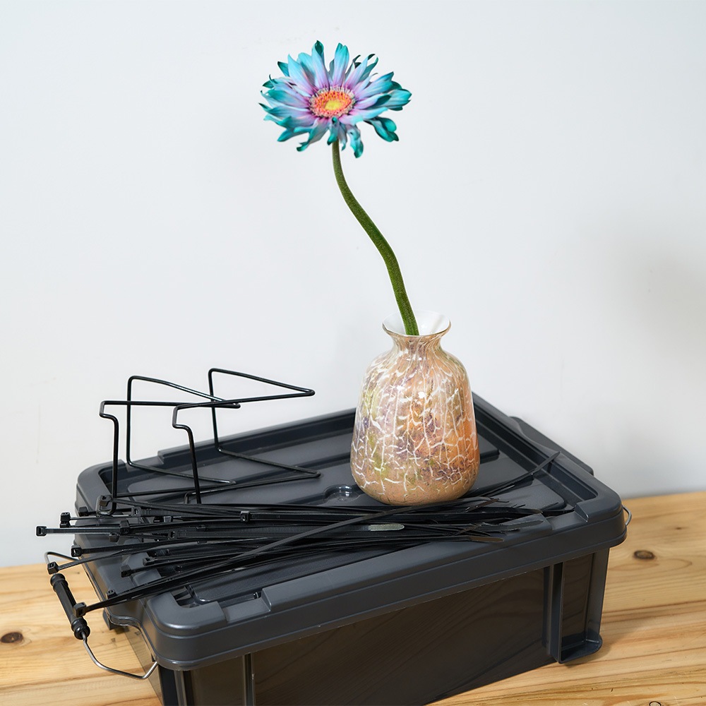 DGラヴィッシュボトルH16 クラックライト