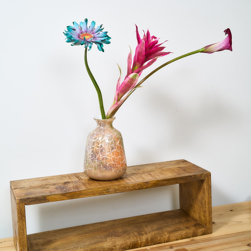 DGラヴィッシュボトルH16 クラックライト