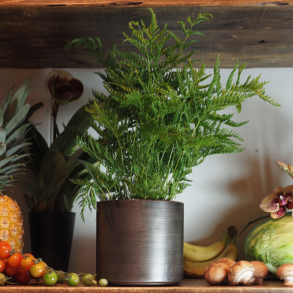 MC円柱ベース ダークブラックH14