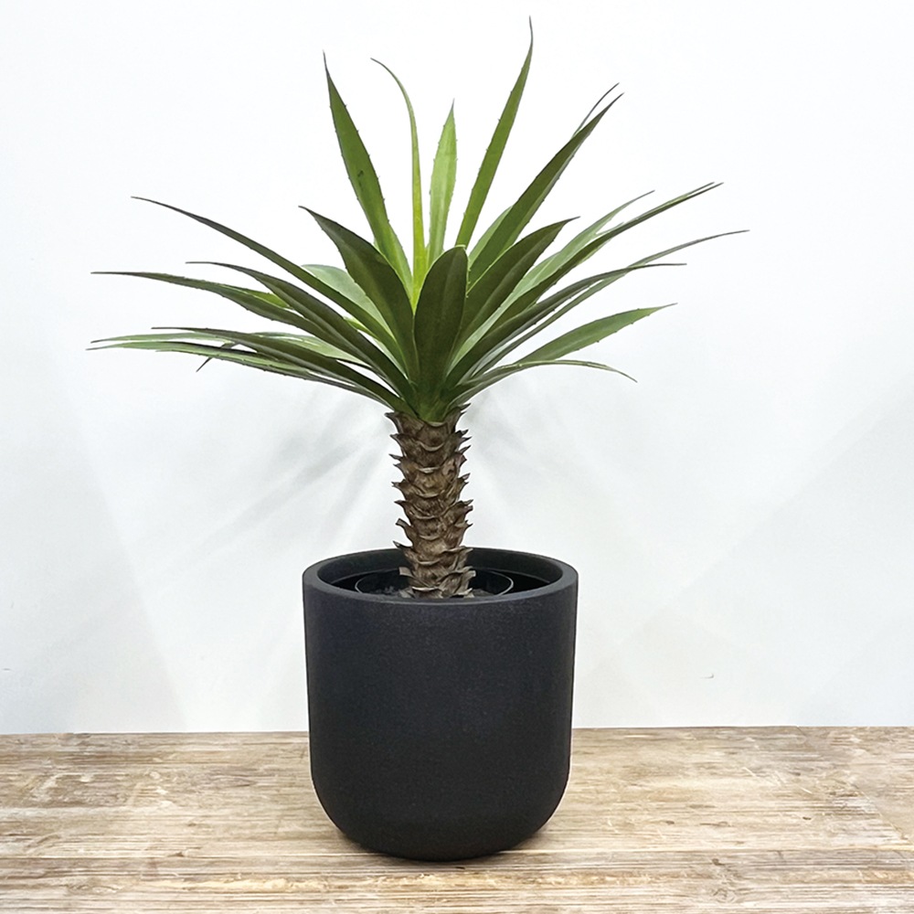 FRアールポットブラックSφ29.5×H28