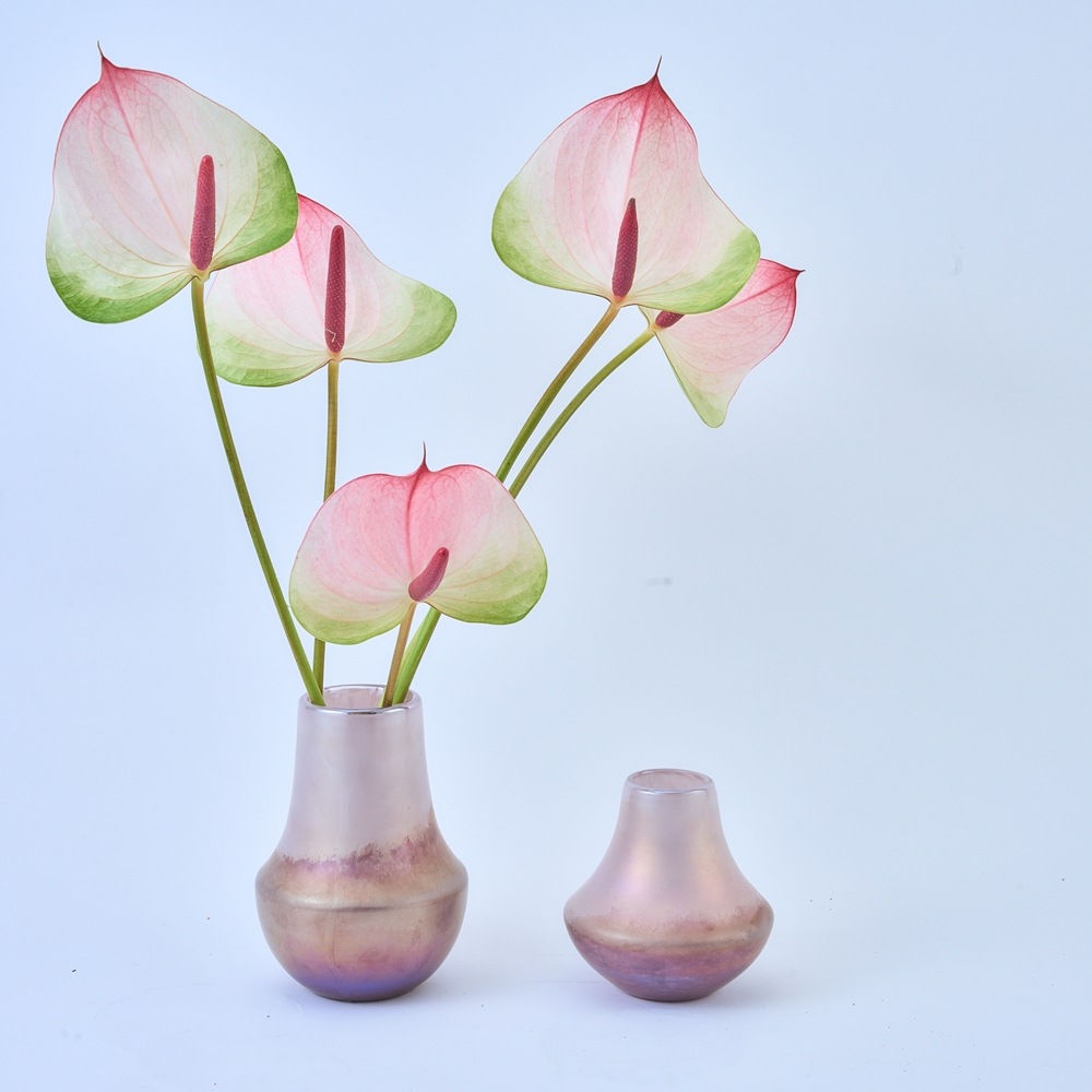 DGアンフォラボトルH11 マーブロン