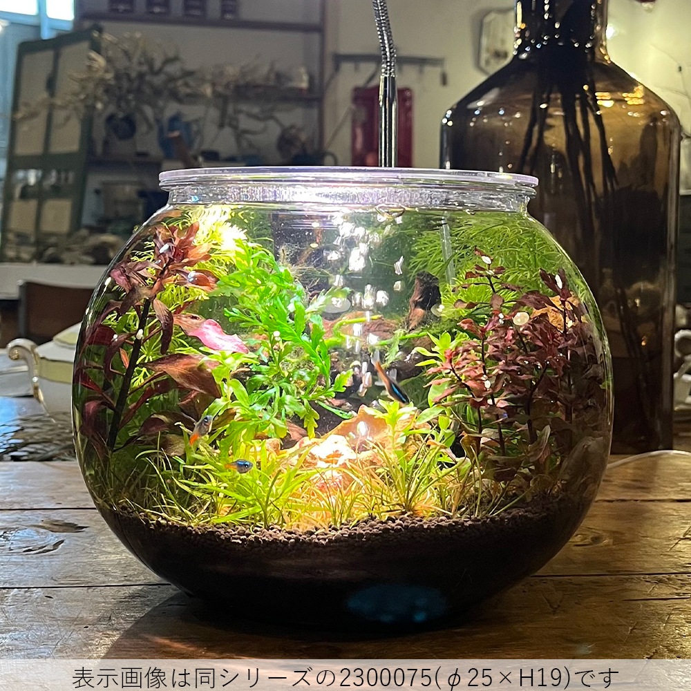 【割れない花瓶!?ポリカ】PV球形 H37.5