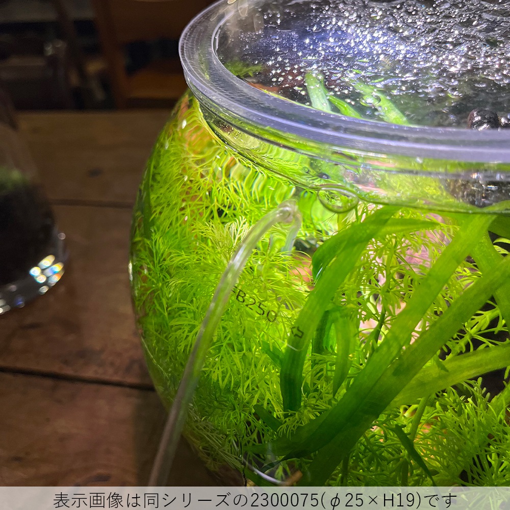 【割れない花瓶!?ポリカ】PV球形 H37.5