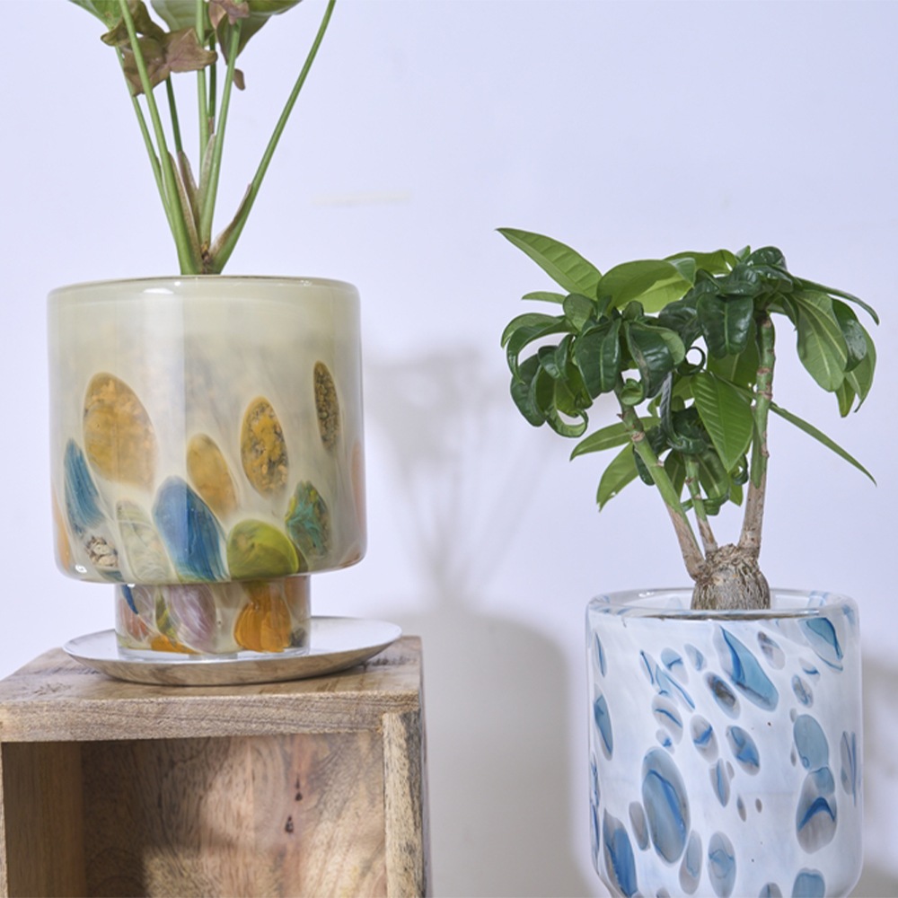 DGガラスステップポット＆ソーサーH12 ホワイトBP