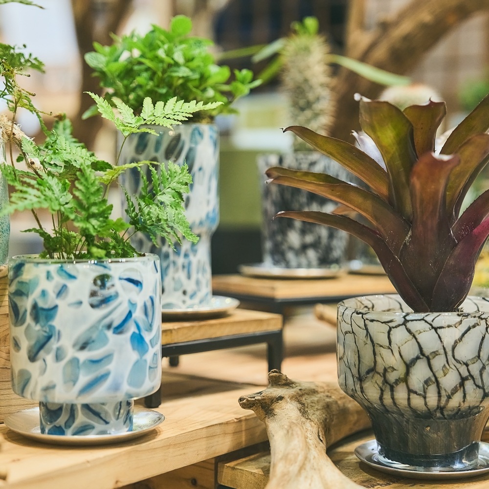 DGガラスステップポット＆ソーサーH12 ホワイトBP