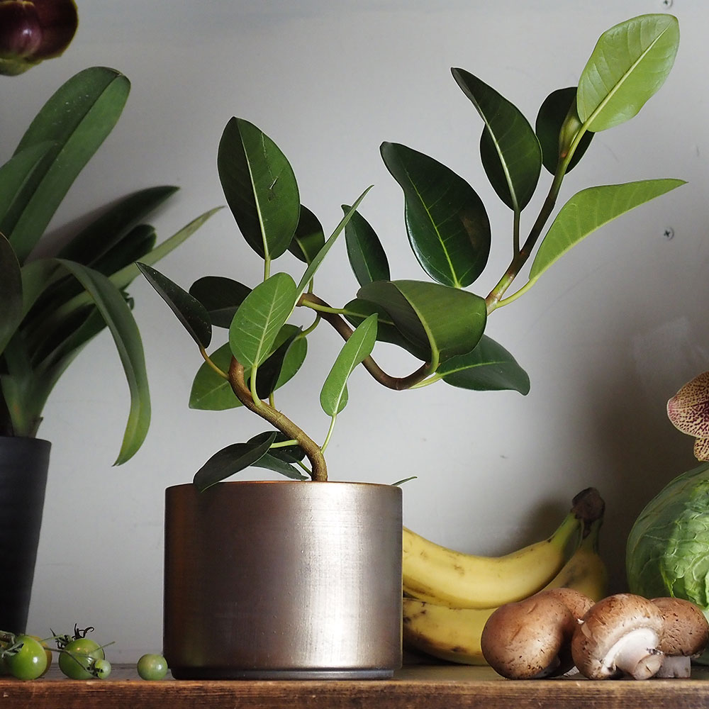 MC円柱ベース アンティークゴールドH9.5