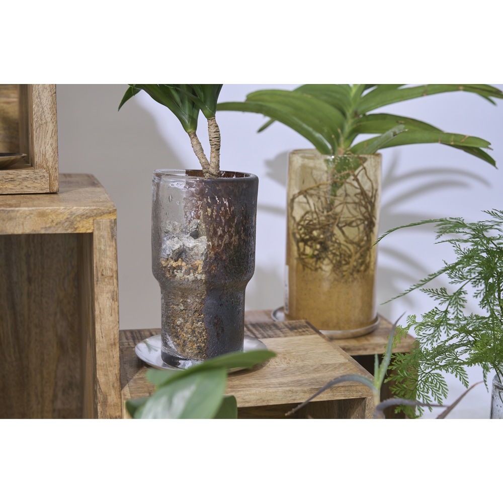 DGガラスピラーポット＆ソーサーH19 サンシャイン | 穴あき鉢・植木鉢