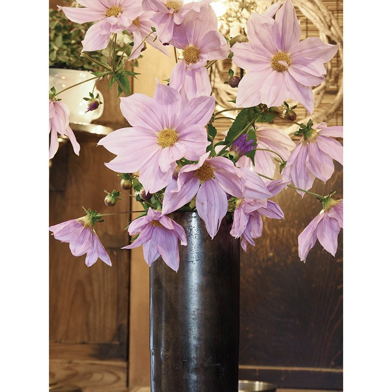 AMシリンダーロングブラック 14xH40