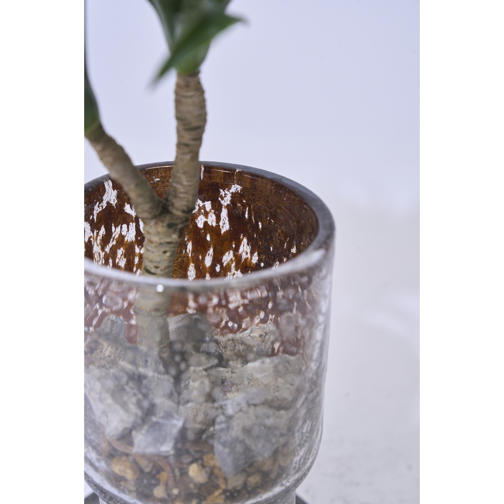 DGガラスステップロングポット＆ソーサーH16 クリアMB | 穴あき鉢