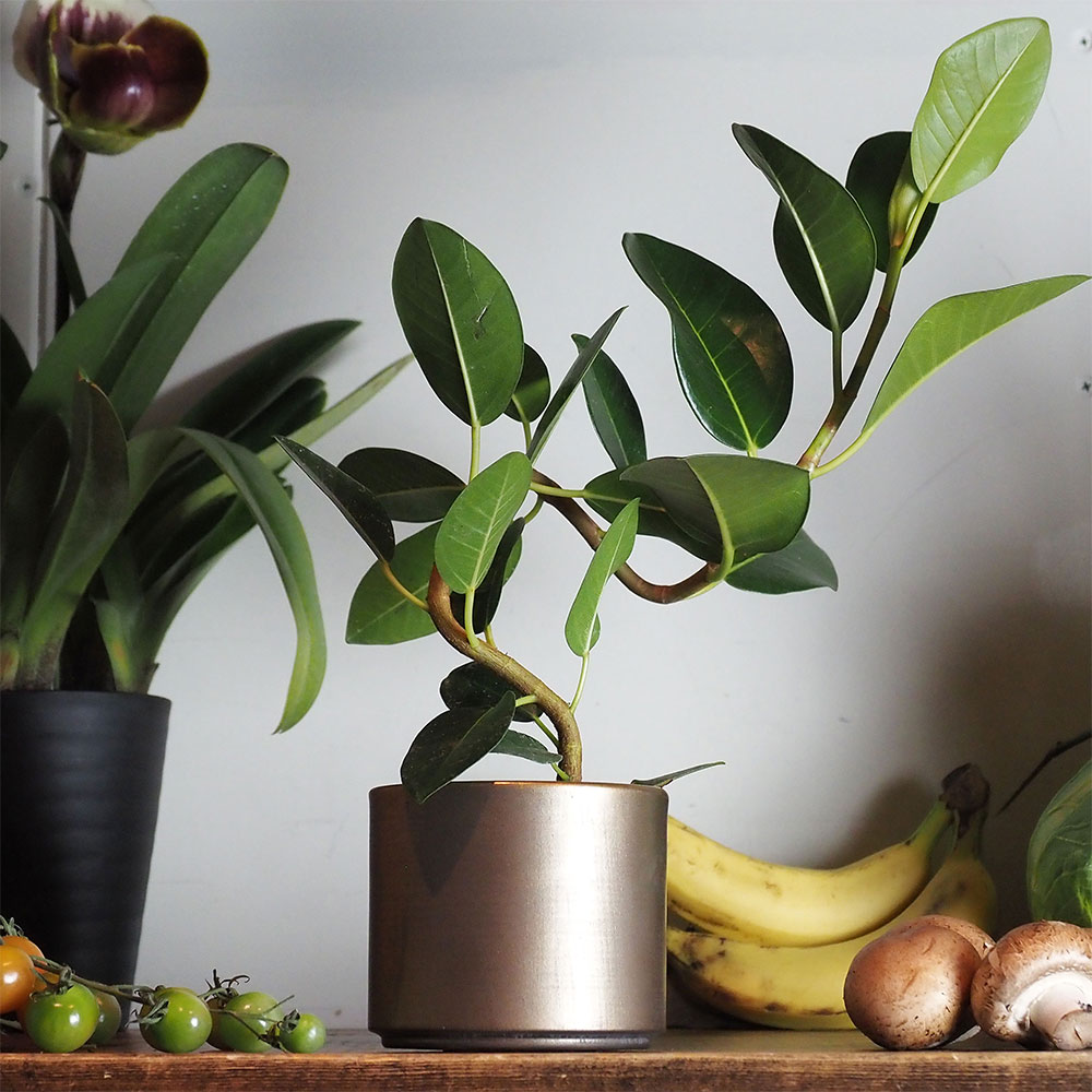 MC円柱ベース アンティークゴールドH8.5