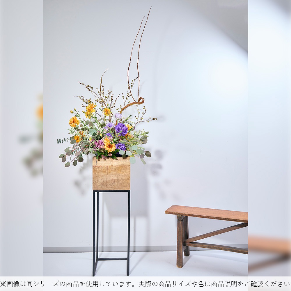3P00029_RJボックススタンドH60