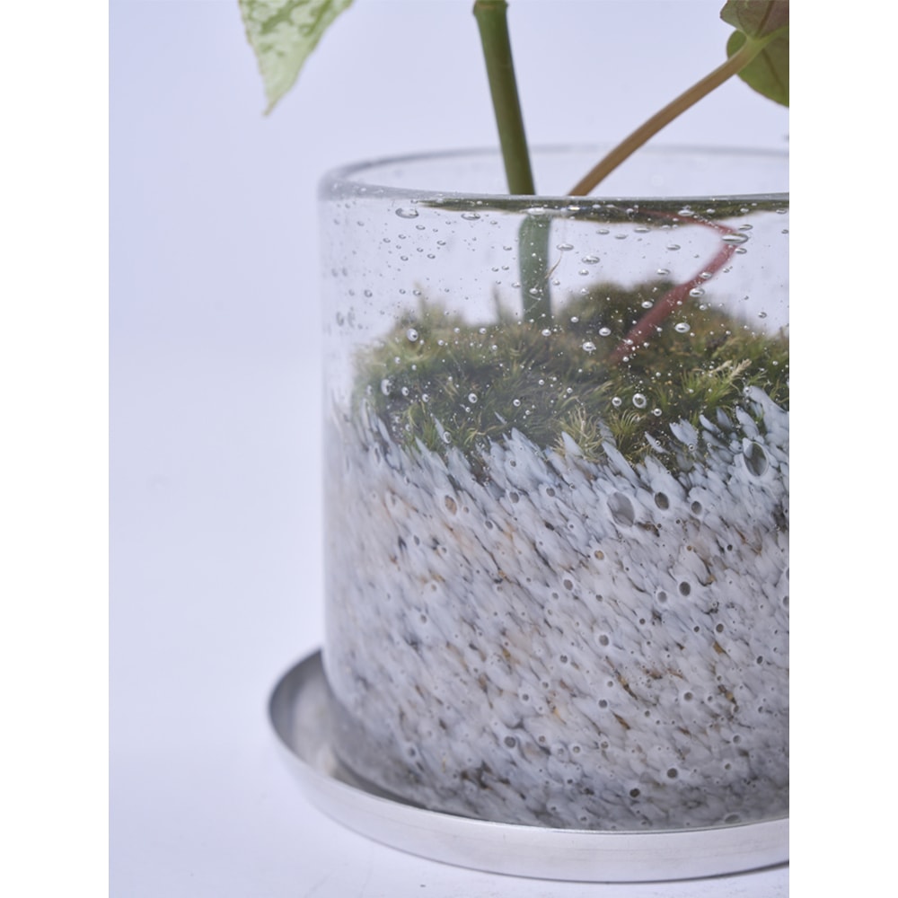 DGガラスナローポット＆ソーサーφ10xH10 クリアホワイト | 穴あき鉢