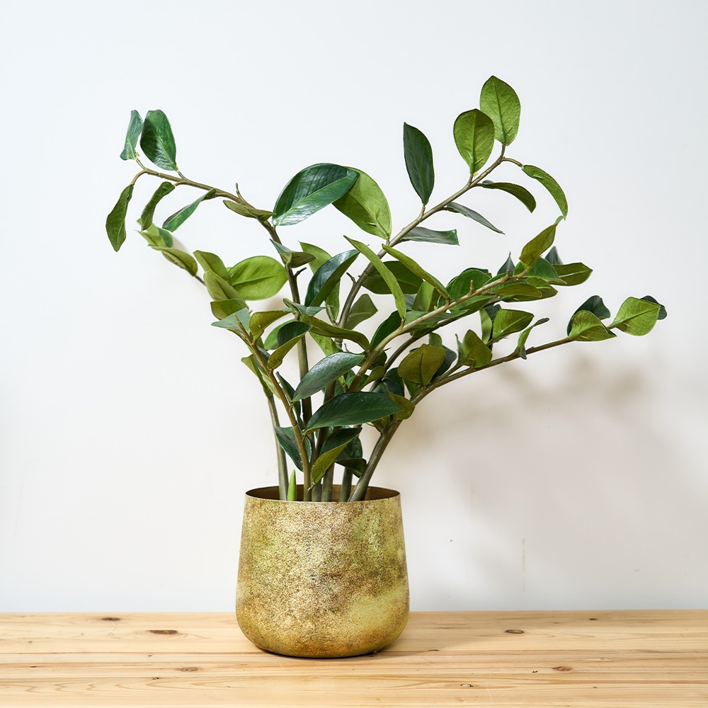 AMボウルポットIZUMO グリーンゴールドH16【入荷予定あり】【2026年3月下旬入荷予定】