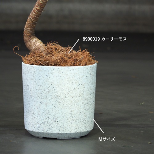 FR円柱ホワイトストーンLφ35×H35.5