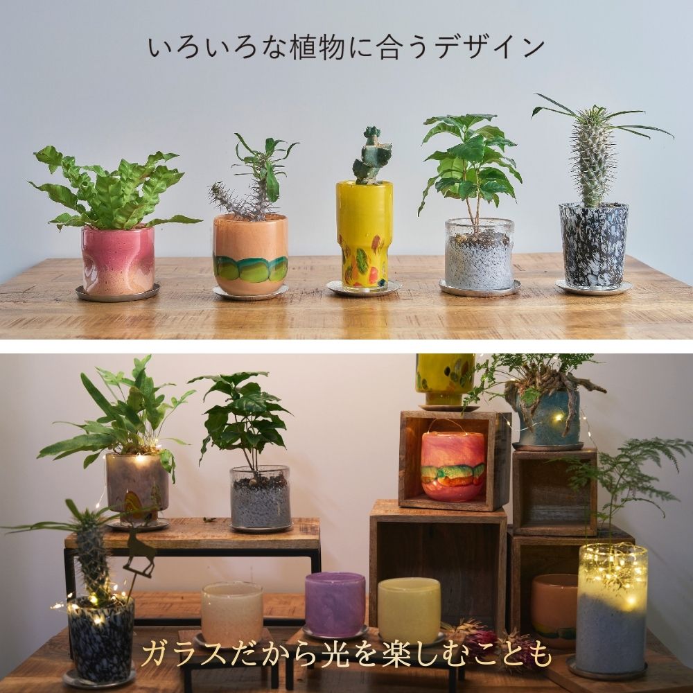 DGガラスナローポット＆ソーサーH10 サンシャイン