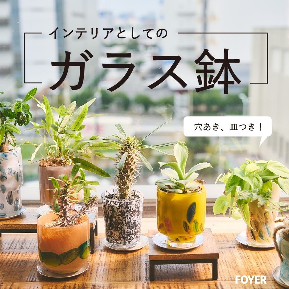 DGガラスナローポット＆ソーサーH10 サンシャイン