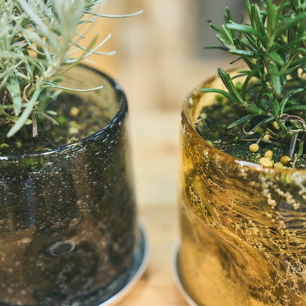 DGガラスナローポット＆ソーサーH10 サンシャイン