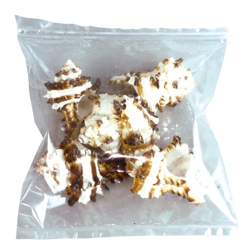 @ロックシェル 5個入