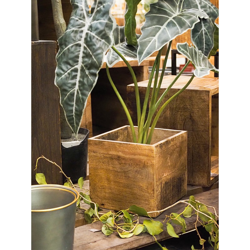 AMナチュラルウッドキューブBOXH15.5