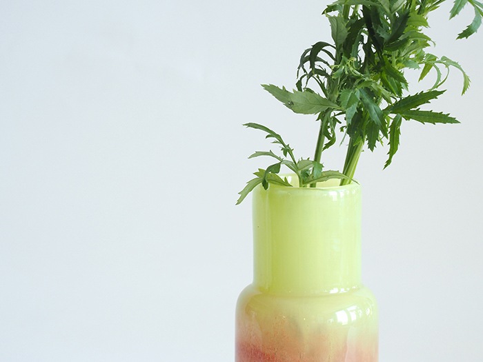 DGボトルベースピンクグリーン H18