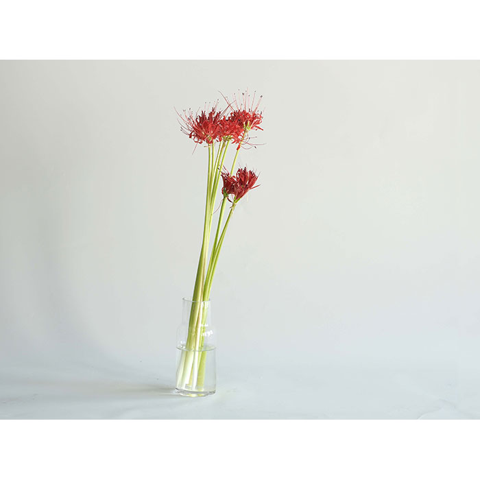 Tomボトルベース H18